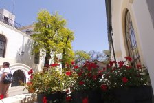 972 jerez bodega gonzalez-byass